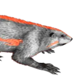 Castoroides