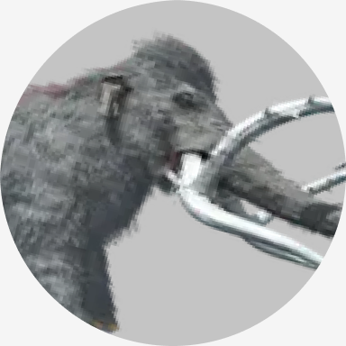 Appalachian Mammoth