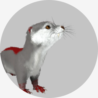 Otter