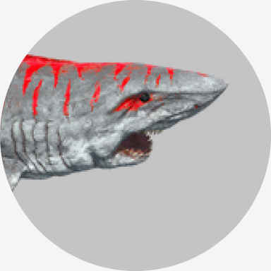 Megalodon